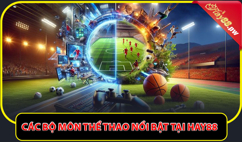 Các bộ môn thể thao nổi bật tại HAY88