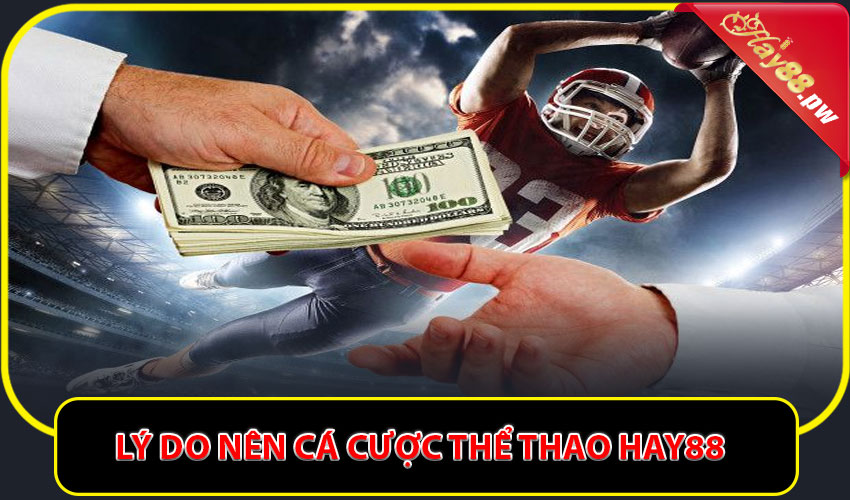 Lý do nên cá cược thể thao HAY88